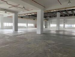 ELEMENT 14 (D19), Factory #455252771